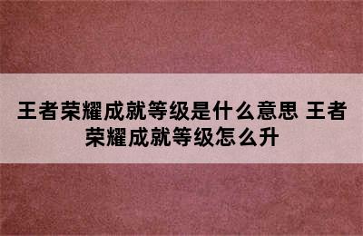 王者荣耀成就等级是什么意思 王者荣耀成就等级怎么升